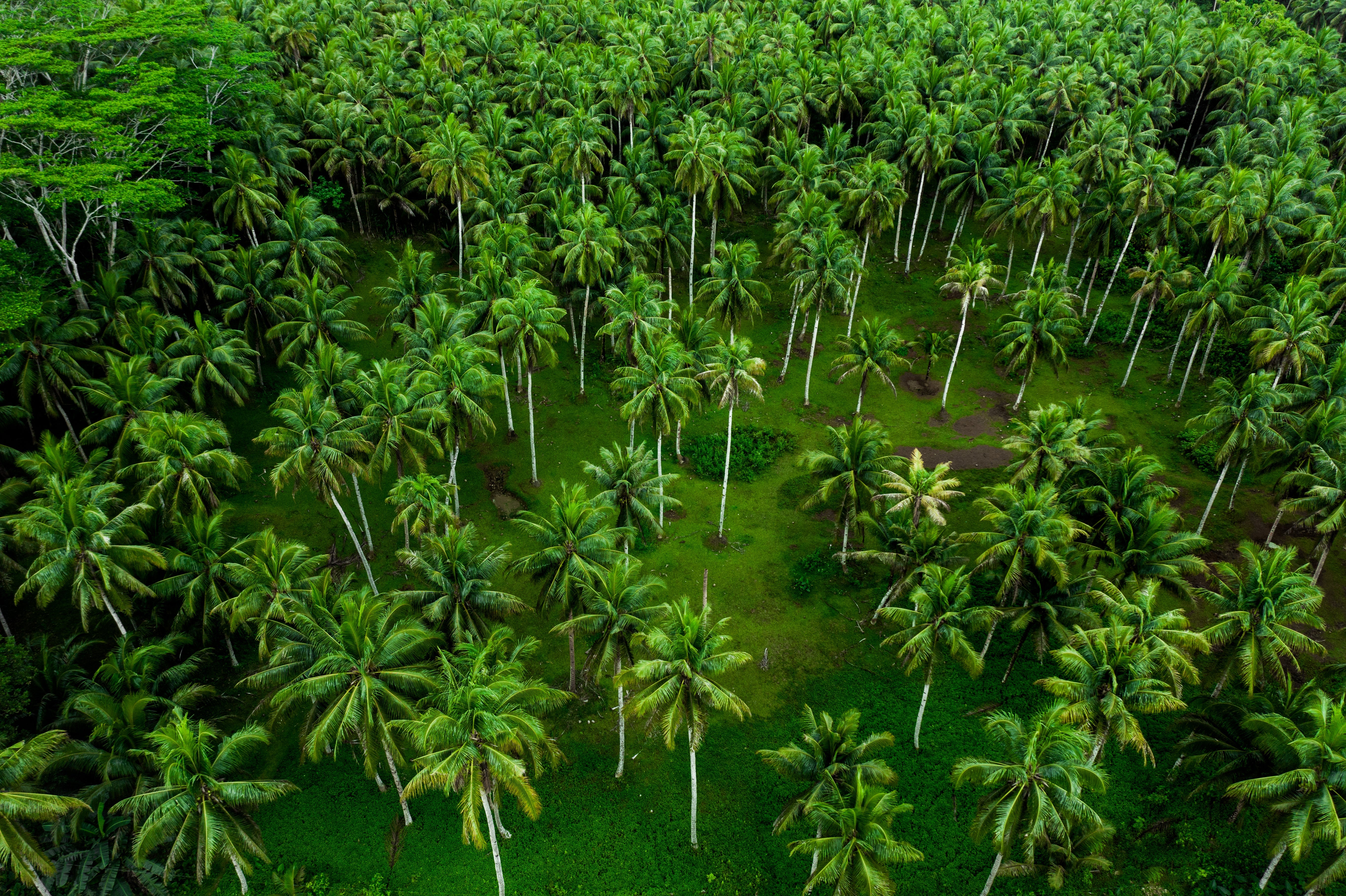 Nutrient protection technology