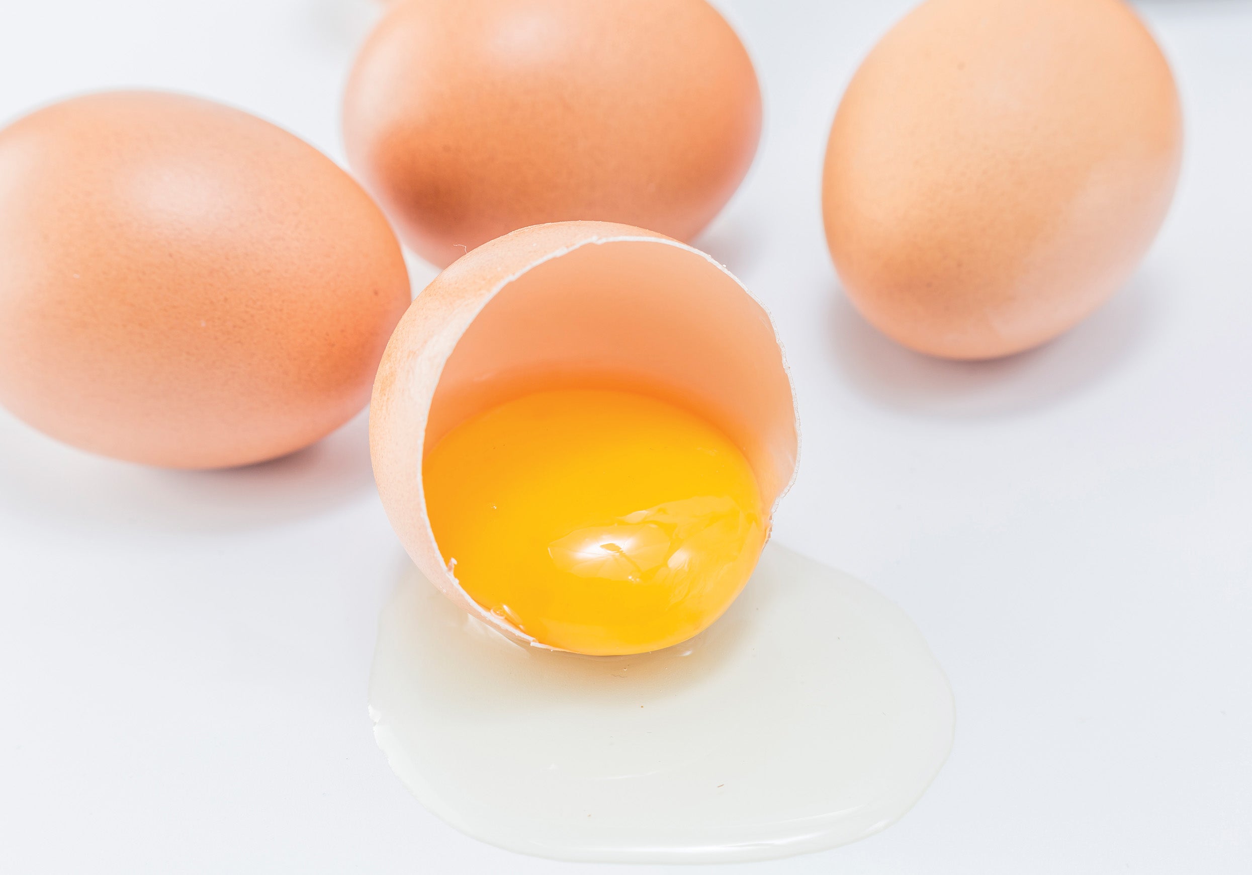 Egg Amino Acid Plant Booster
