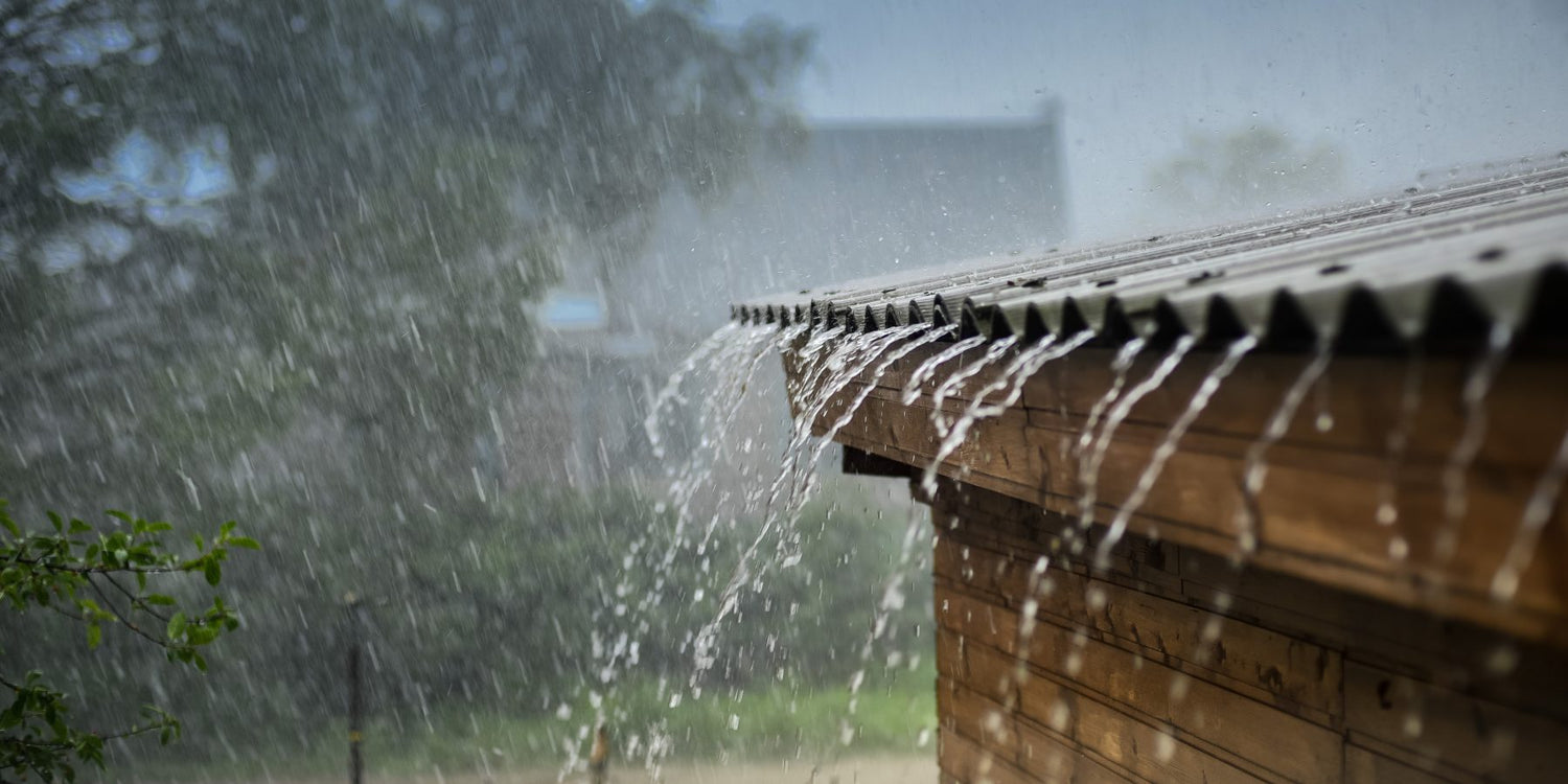 How Rainwater Harvesting Can Save You Money on Water Bills and Benefit the Environment?