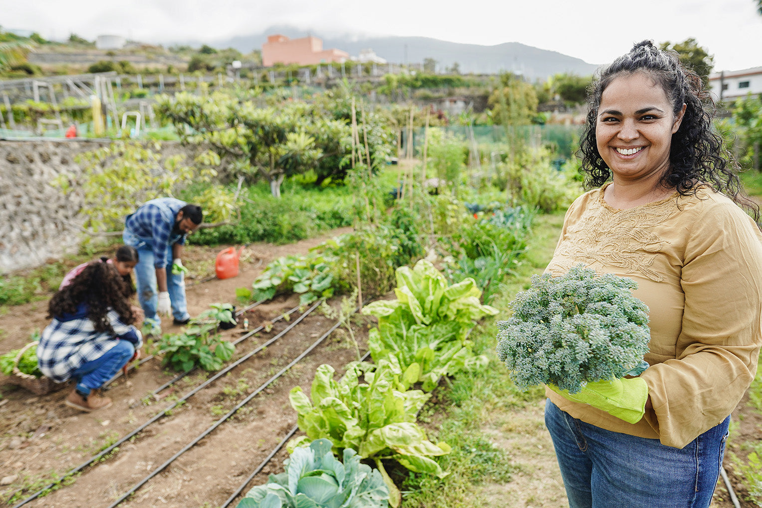 The Benefits Of Urban Farming And Reasons To Start One (Or Become A Part-Time Farmer)