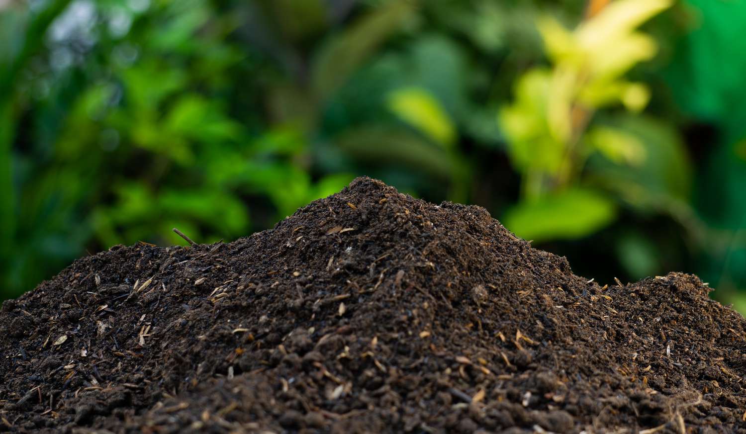Top Tips & Tricks for Fostering a Love of Composting Within Your Family