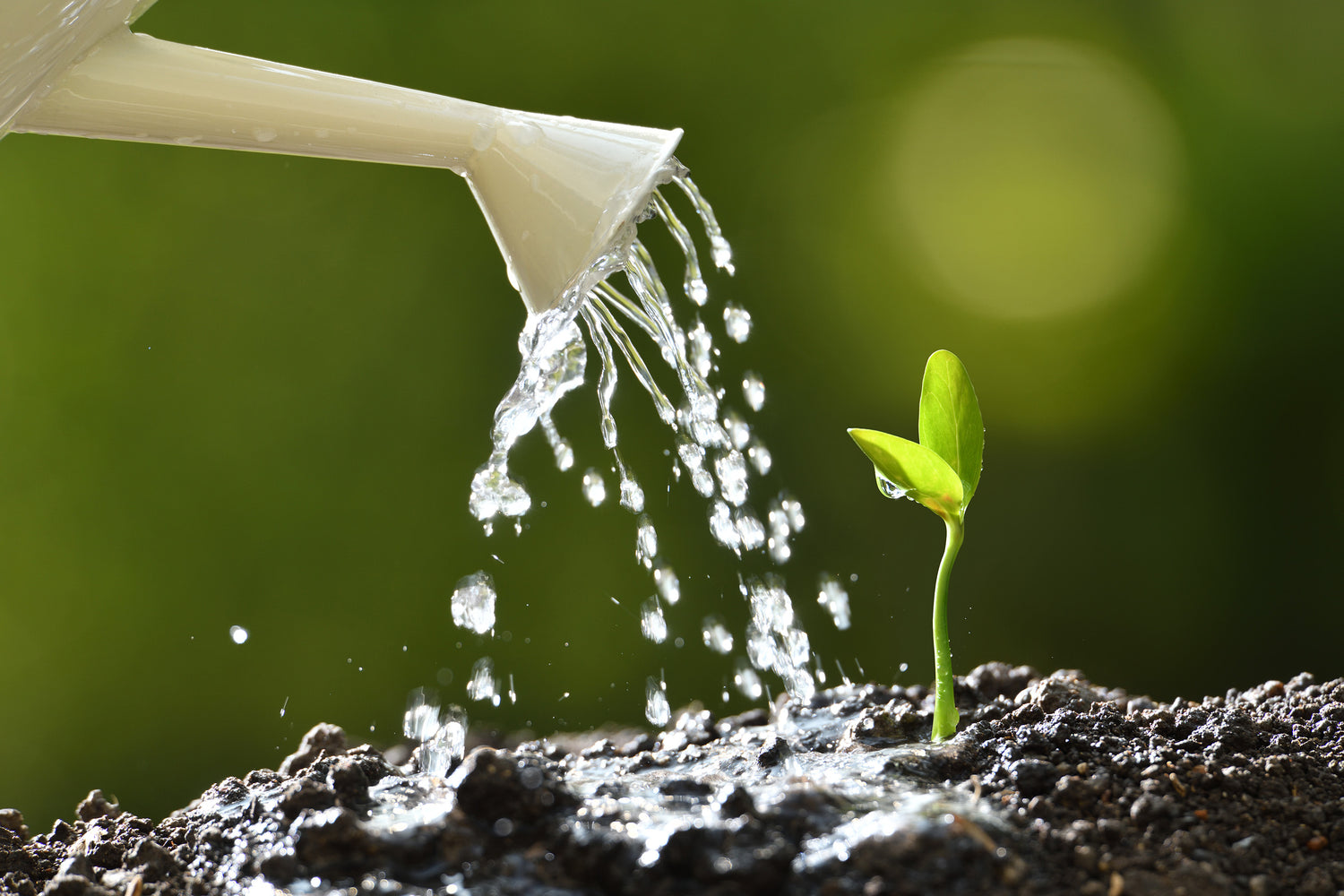 A Look at the Benefits and Detriments of Chlorine Usage for Plant Growth
