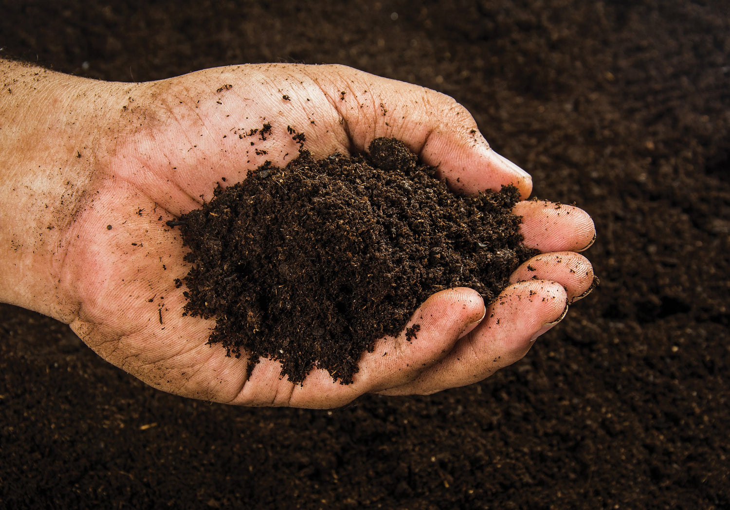 GnanaJeevamrit: Organic Soil Enricher