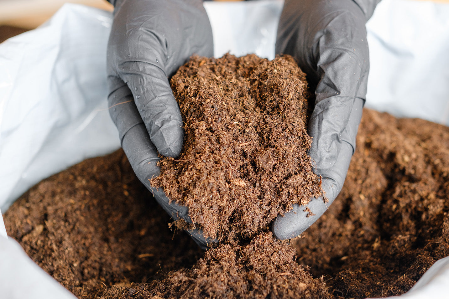 Performing coirpith composting in coconut farming