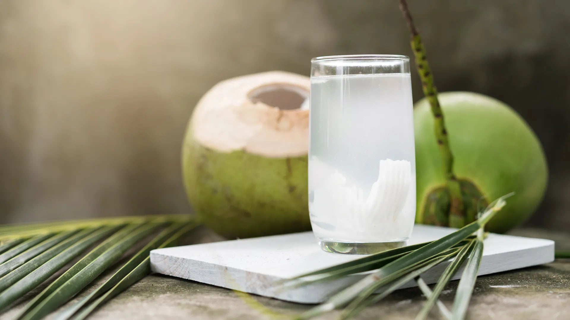 Promotional Activities for Neera from Coconut Farms