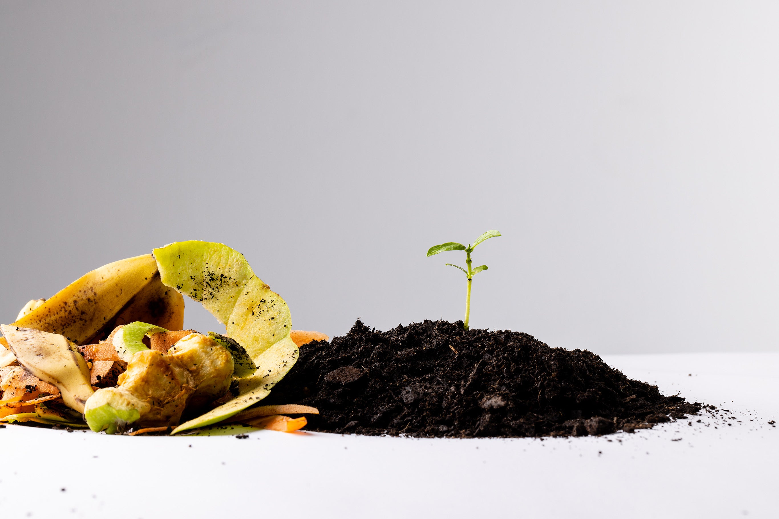Top Tips and Tricks for Fostering a Love of Composting Within Your Family